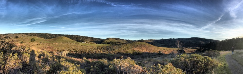 esterotrail_dleffect