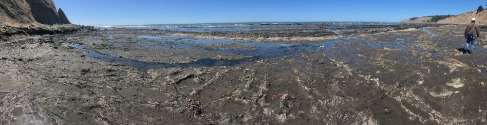 1_Duxbury Fault Line_Greg