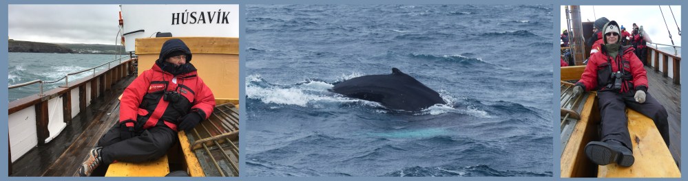 1_WhaleWatching